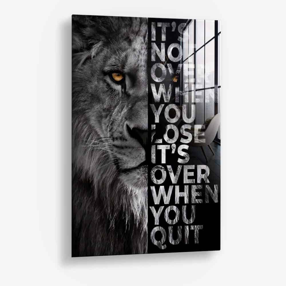 Never Give Up - Vetro
