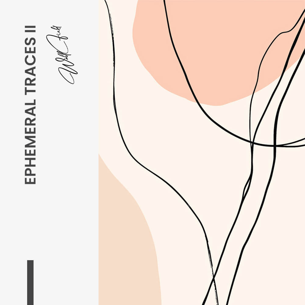 Ephemeral Traces II – Vetro