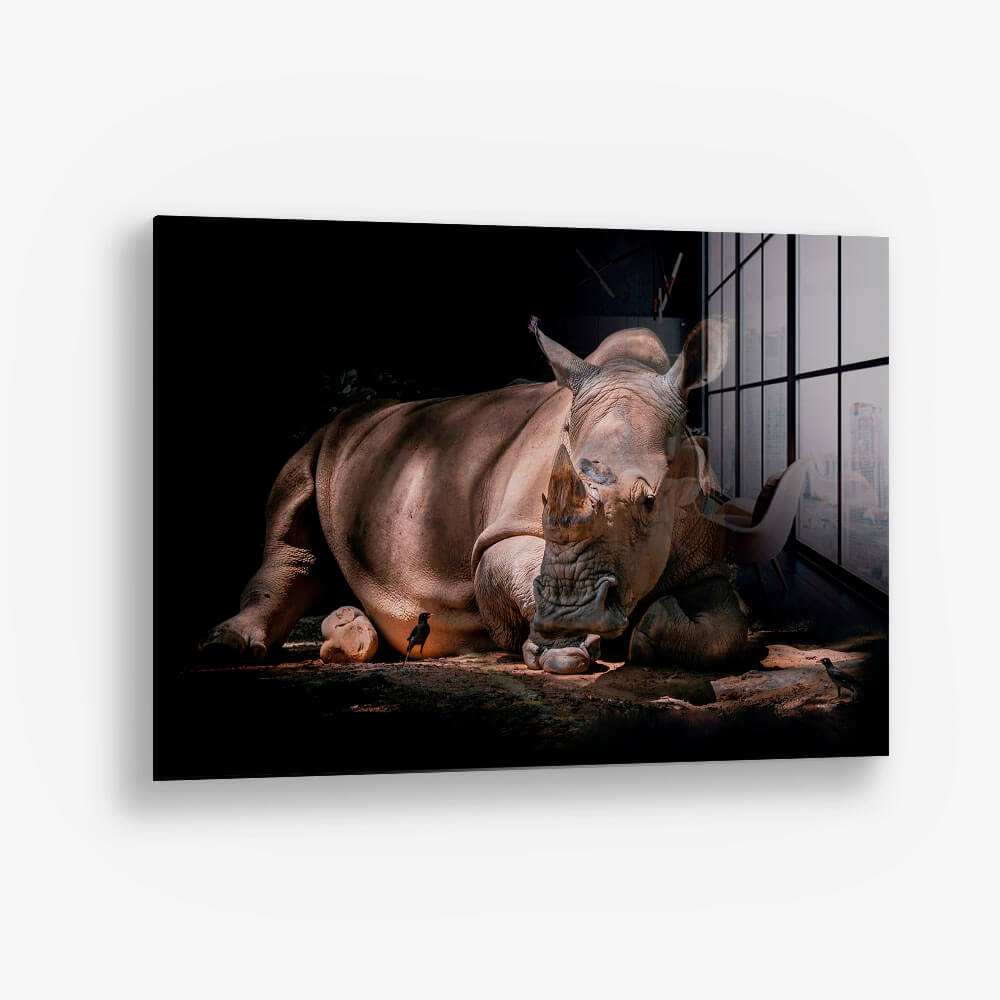 Rhino – Glass