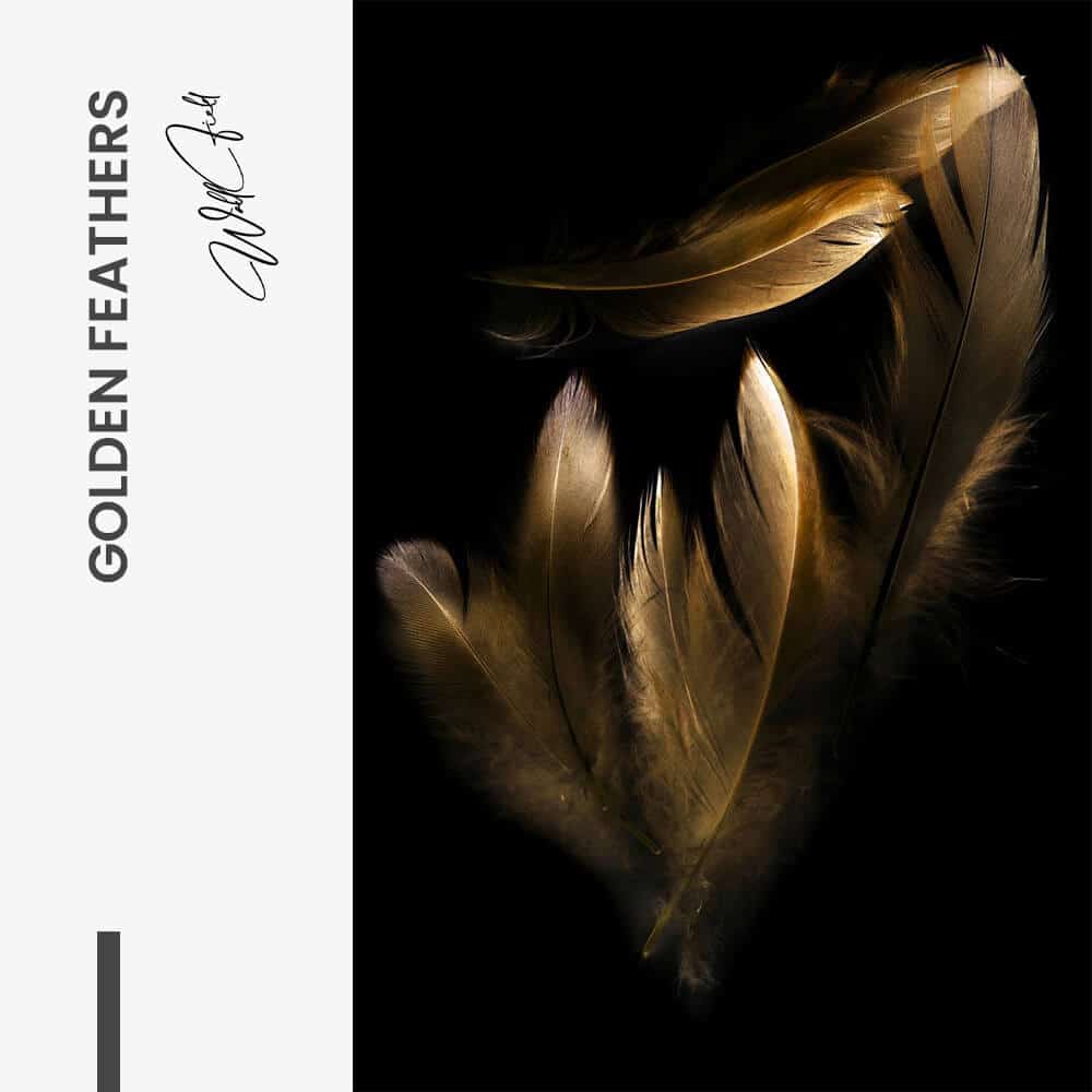 Golden Feathers - Glass
