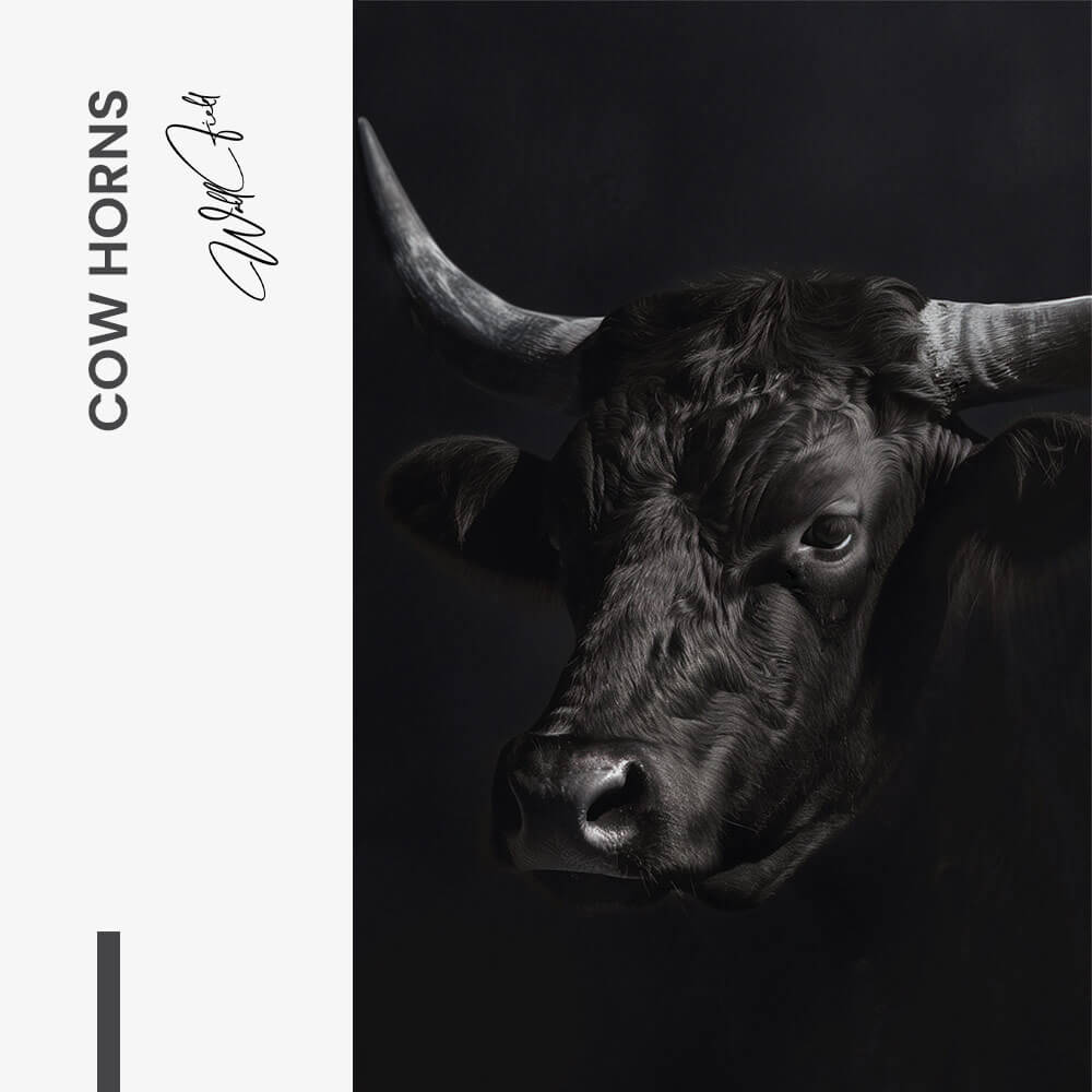 Cow Horns – Vetro