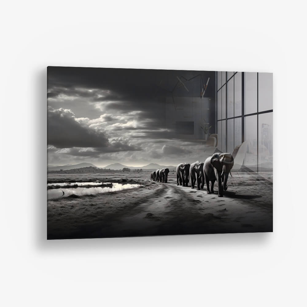 Elephant Family - Vetro