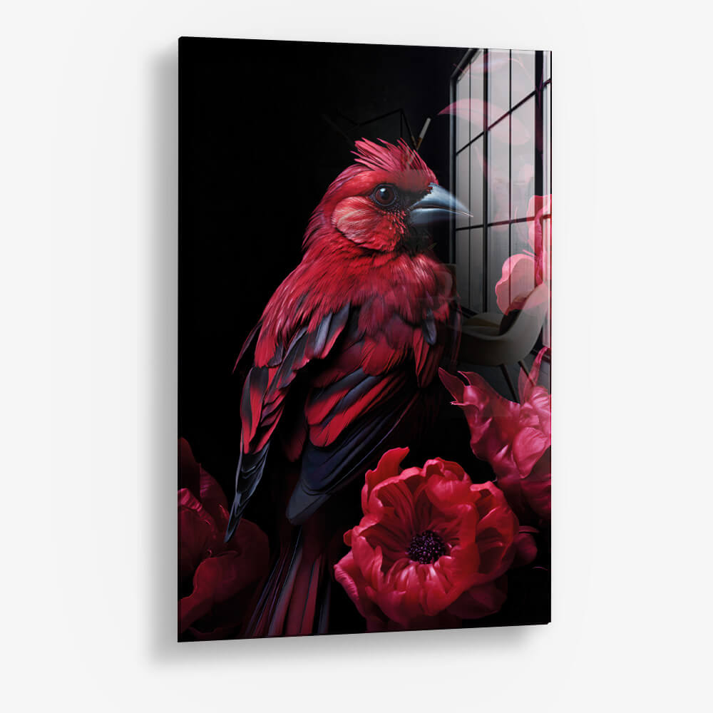 Red Bird – Vetro