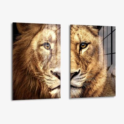Bundle: "Lion & Lioness Color" (2x) – Vetro