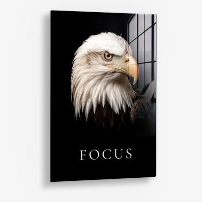 Focus – Vetro