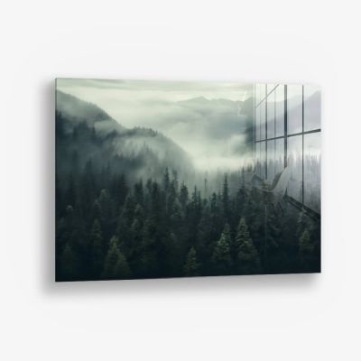 Forest View – Vetro