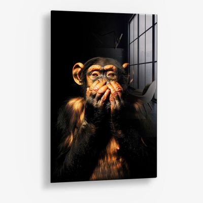 Dark Monkey Speak no Evil – Vetro