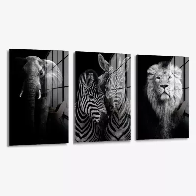 Bundle: "Safari" (3x) – Vetro