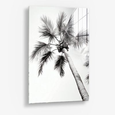 Beachy Palm - Glass